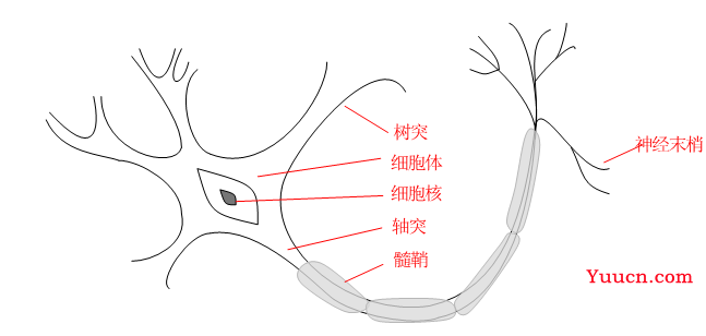 什么是深度学习？从图灵测试谈到ChatGPT(文末送书)