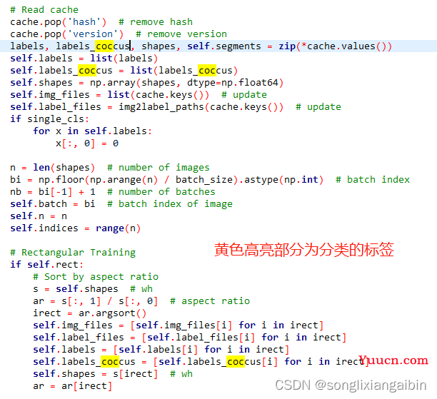 基于YoloV5 multi task网络增加分类分支