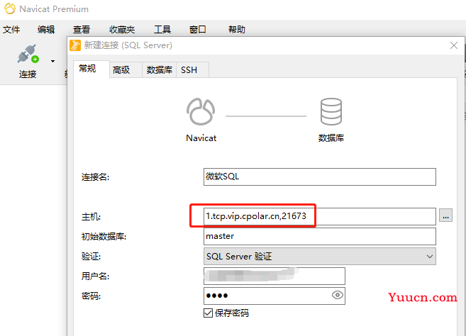 无需公网IP，远程连接SQL Server数据库【内网穿透】