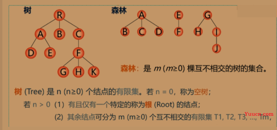 14树的存储结构，二叉树的转换，树和森林的遍历