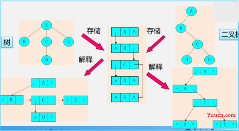 14树的存储结构，二叉树的转换，树和森林的遍历