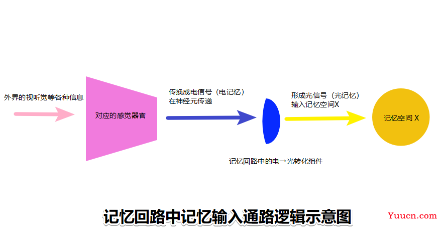 人类记忆系统之谜，也许就是这么回事儿