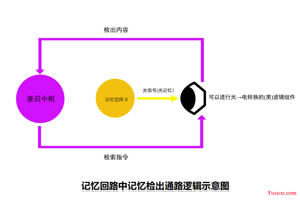 人类记忆系统之谜，也许就是这么回事儿