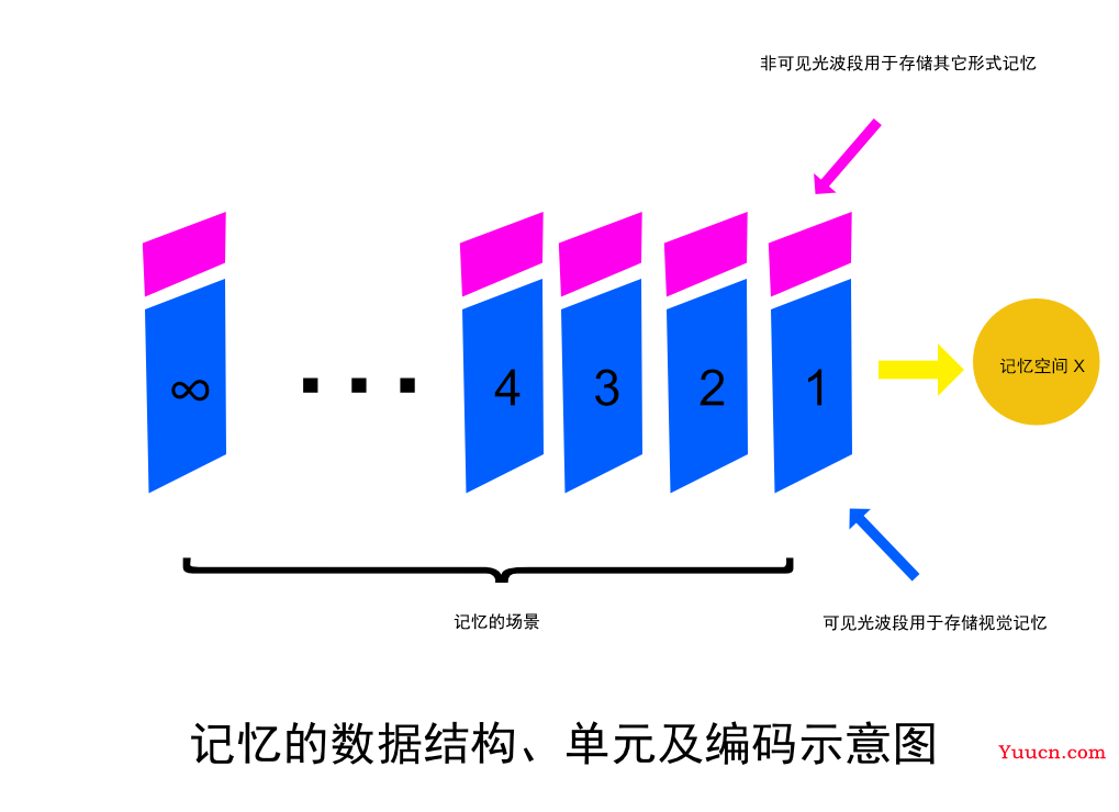 人类记忆系统之谜，也许就是这么回事儿