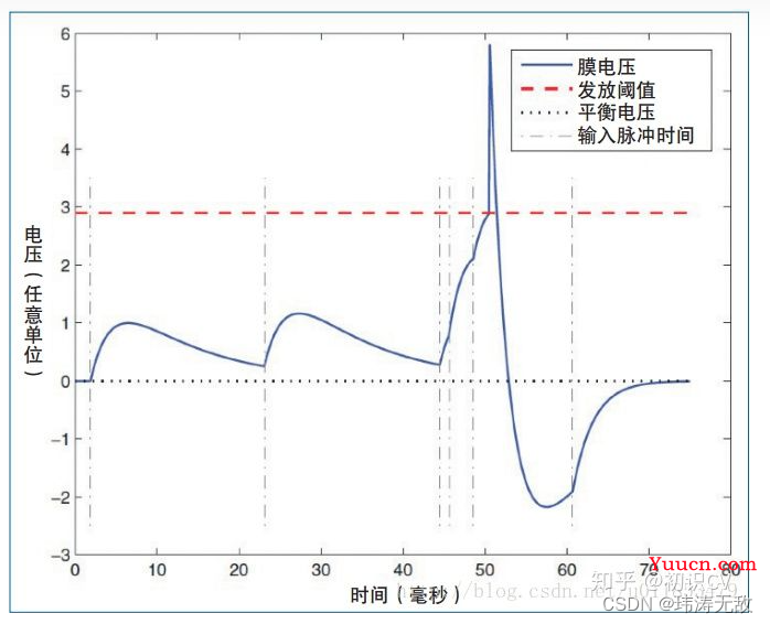 一文通俗入门·脉冲神经网络(SNN)·第三代神经网络