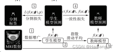 毕业设计-基于深度学习的医学影像分割