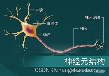 深度学习之BP神经网络