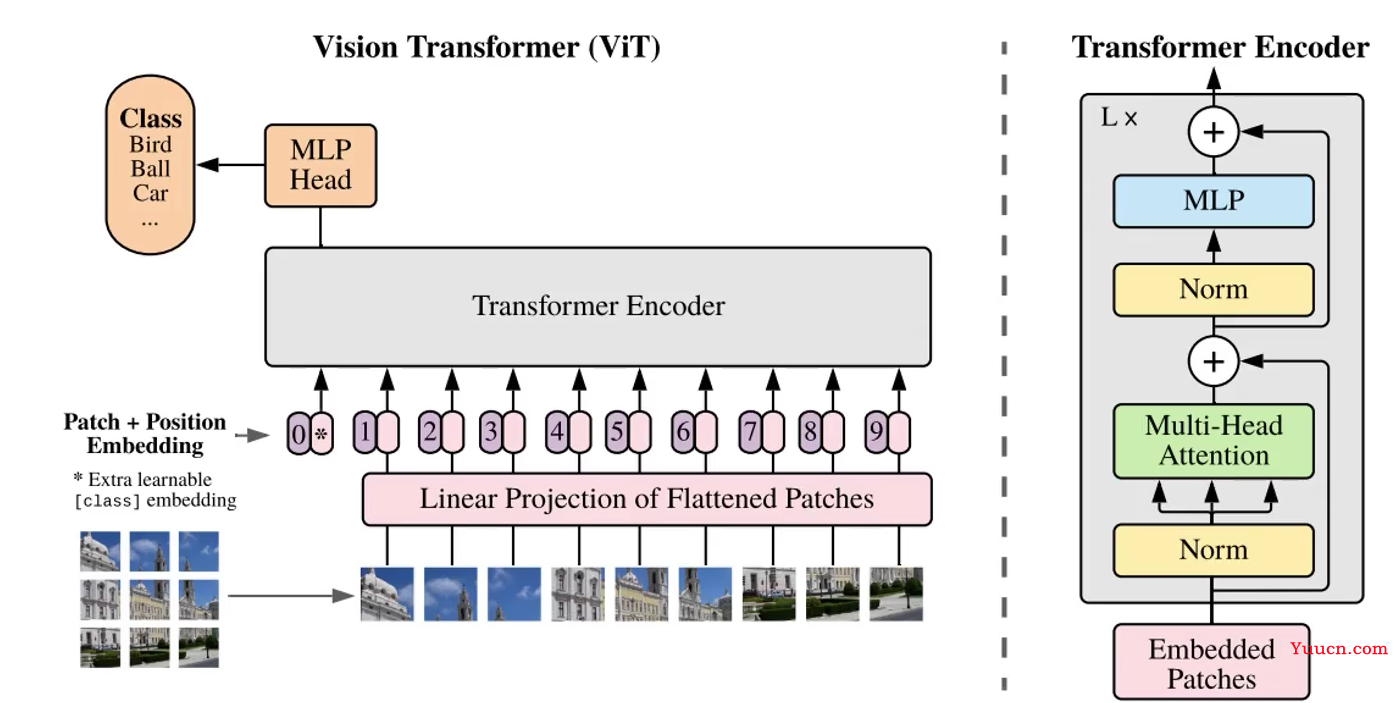 Transformer在计算机视觉中的应用-VIT、TNT模型