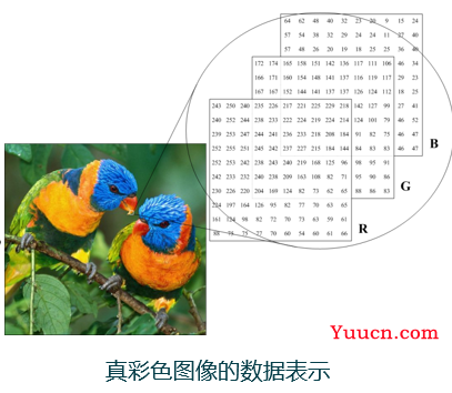 数字图像处理-图像基础-复习总结