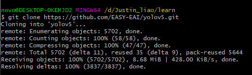 yolov5训练部署全链路教程