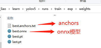 yolov5训练部署全链路教程