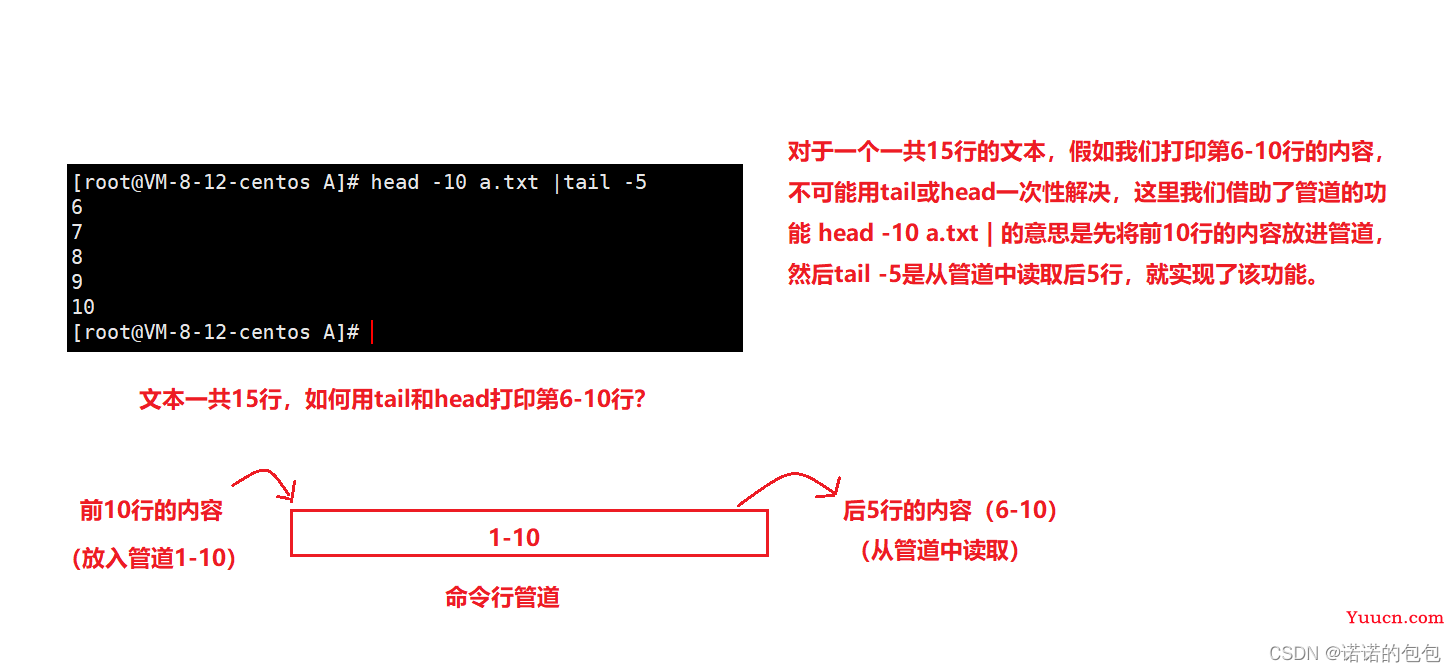 【Linux】一文掌握Linux基本指令（下）